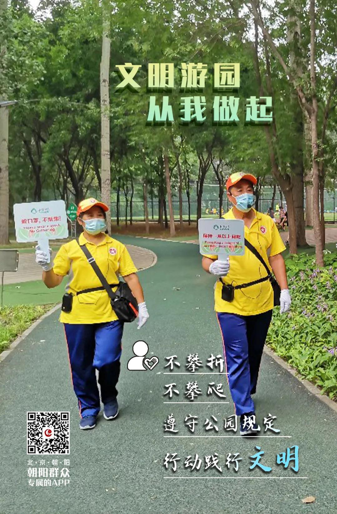 朝阳群众的文明行动