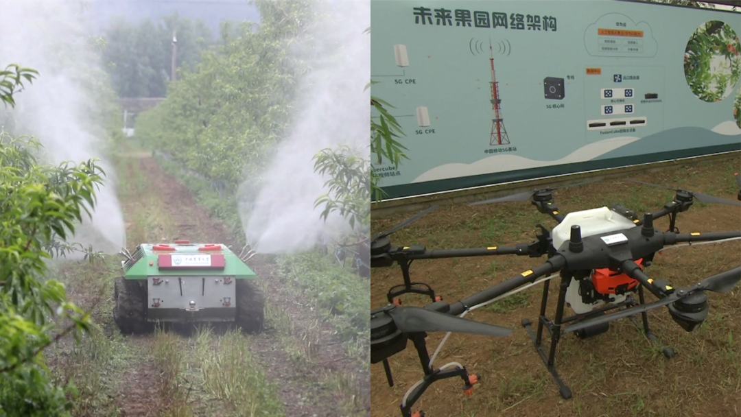 乡村振兴靠什么？他的法宝是……