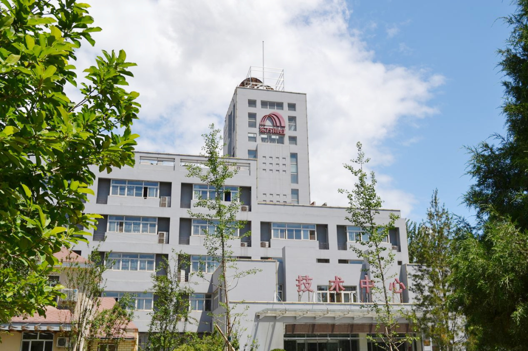 “隐形冠军”的秘密