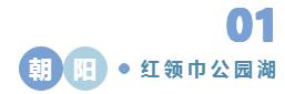 2021年度北京市优美河湖结果出炉，朝阳这三条河湖上榜！