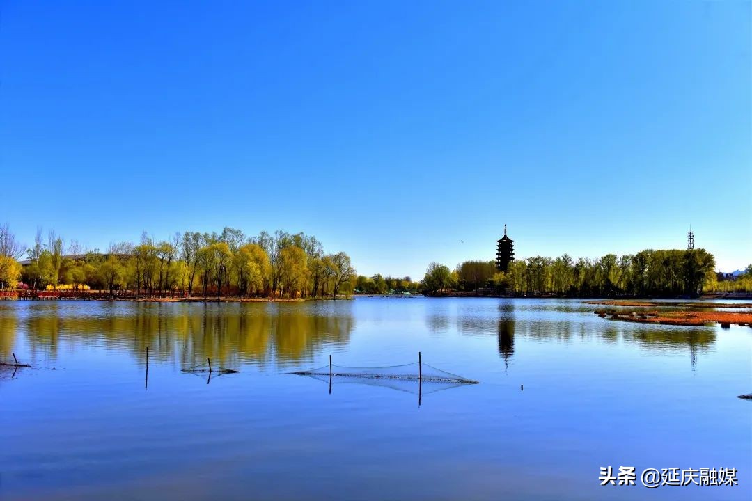 蓝天绿水映延庆 盎然春色入画来~