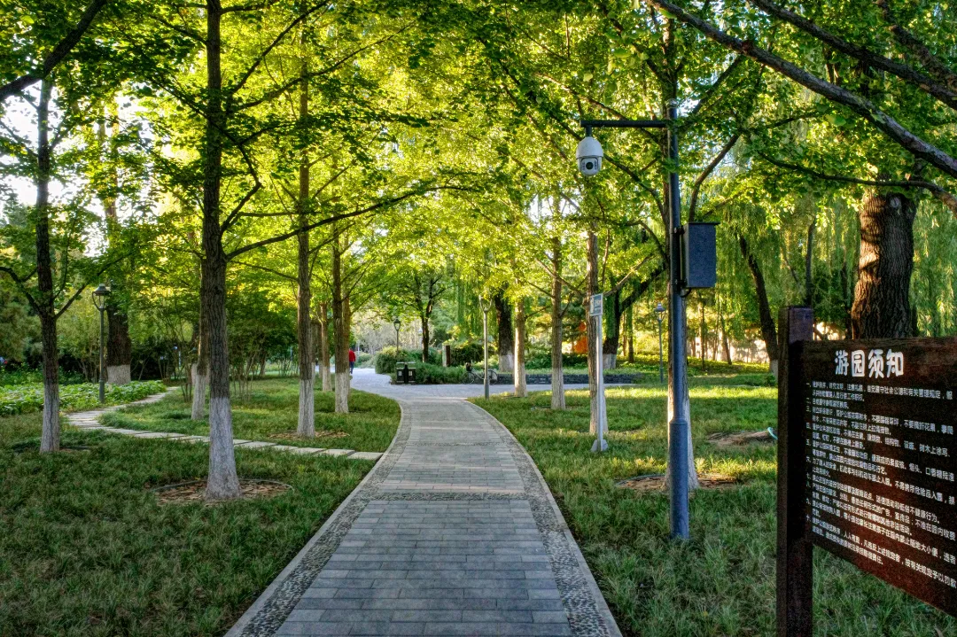 多图实拍！地坛园外园重装开园，打造全龄友好社区公园
