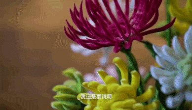 创建全国文明城区，让城市有温度！