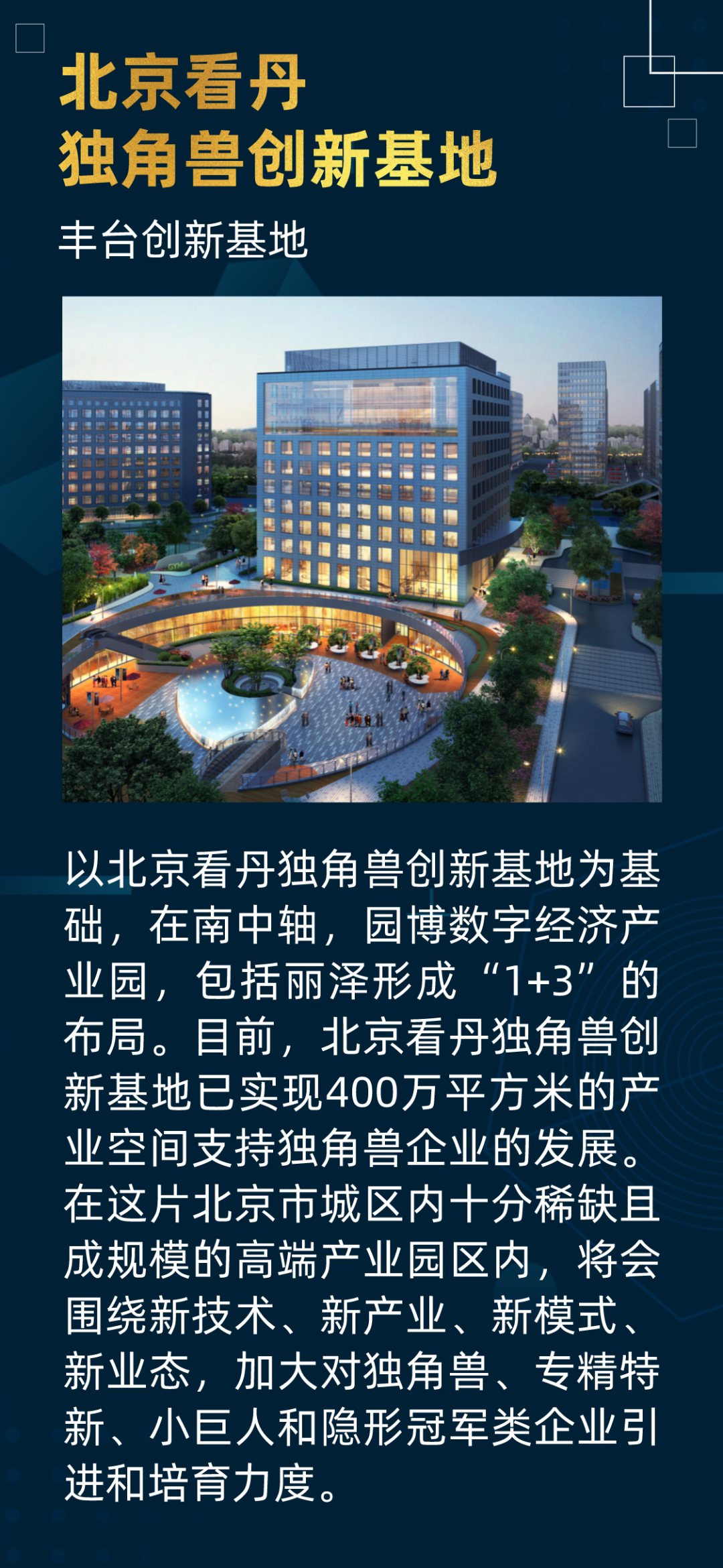 高质量发展“丰”华正茂