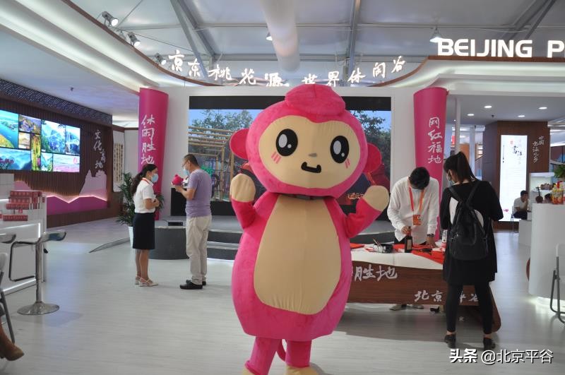 探访“服贸会”平谷展区，遇见最美“网红平谷”