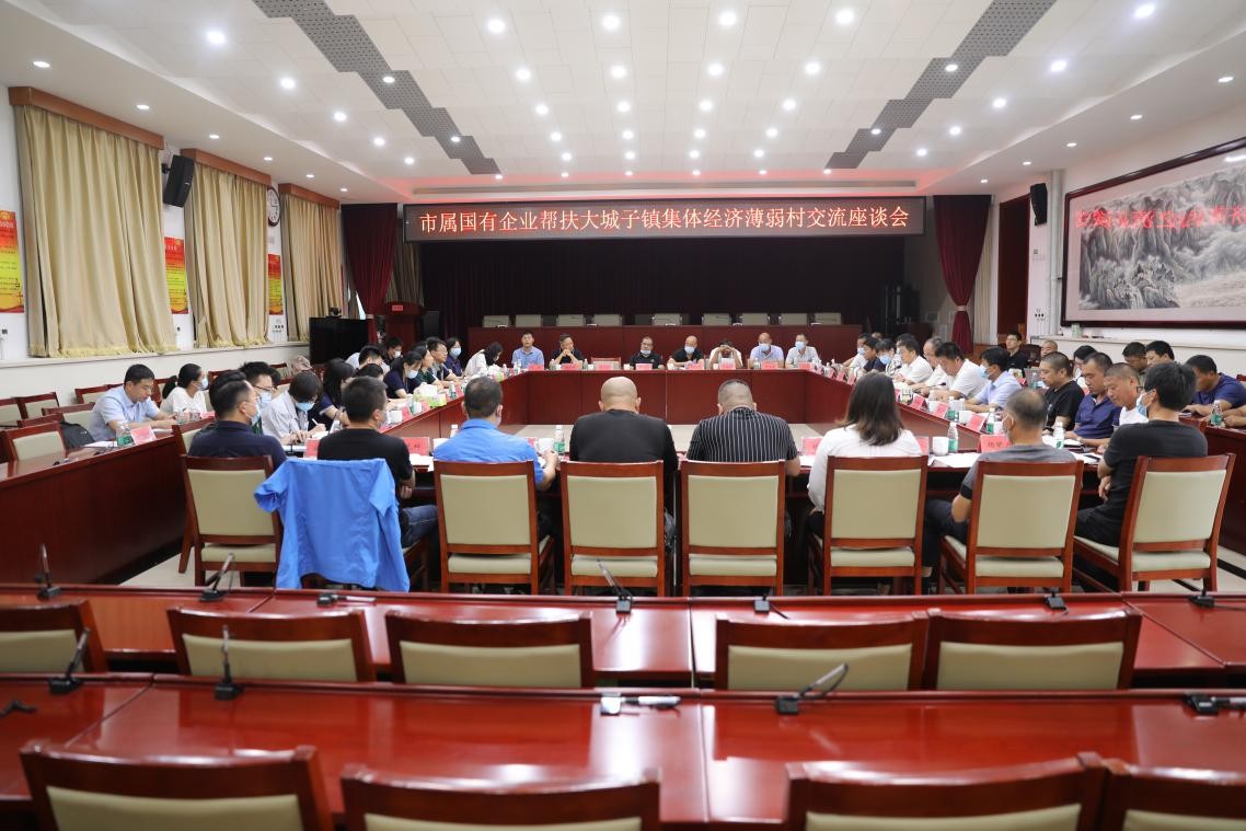 密云区大城子镇召开市属国有企业帮扶集体经济薄弱村交流座谈会
