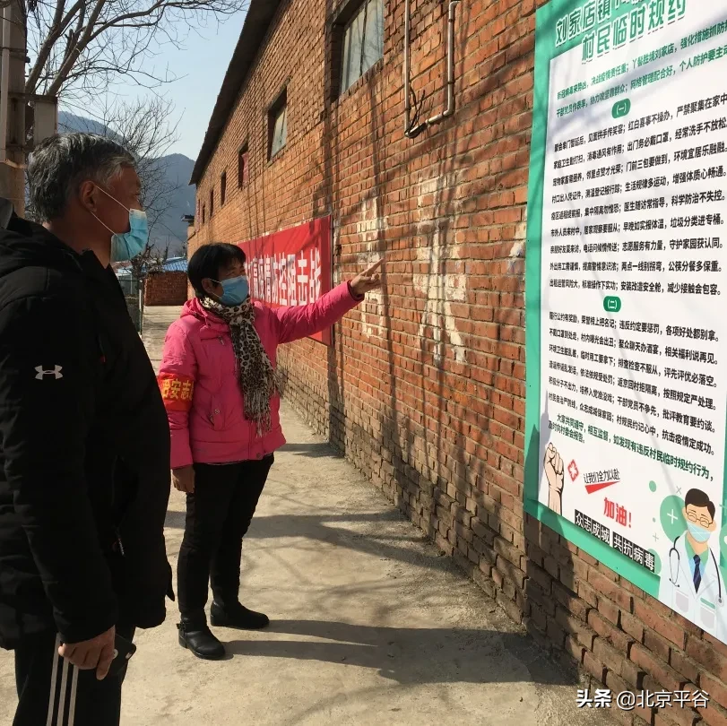 平谷区刘家店镇党委——全国抗击新冠肺炎疫情先进集体、全国先进基层党组织