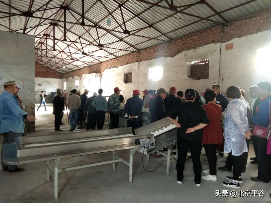 平谷大华山镇：强化“双基”建设 探索基层治理积分制管理模式