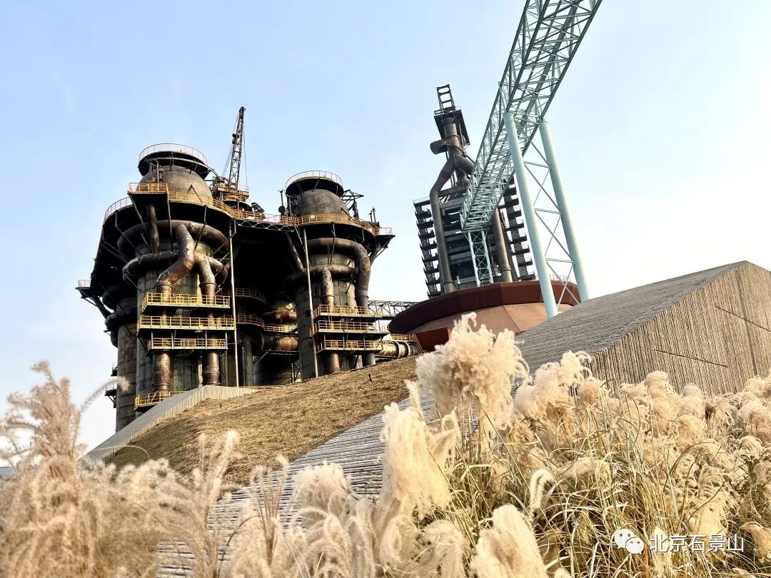 闻老街坊心声 ｜这五年，我的家乡发生了这些变化