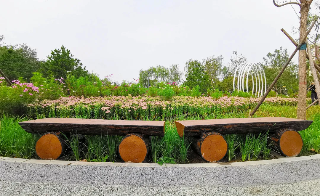 就在明天！衙门口城市森林公园正式开园！又多一个好去处~