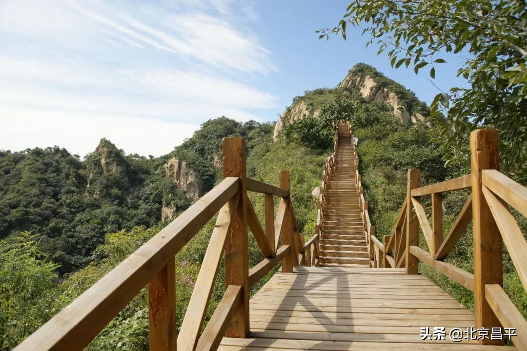 约起来！大岭沟猕猴桃谷风景区4月1日开园迎客