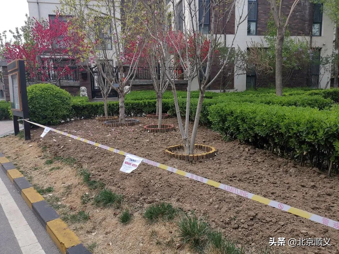 【创城有我】创文明城区，建美好家园，空港街道中粮祥云社区全力助创城~