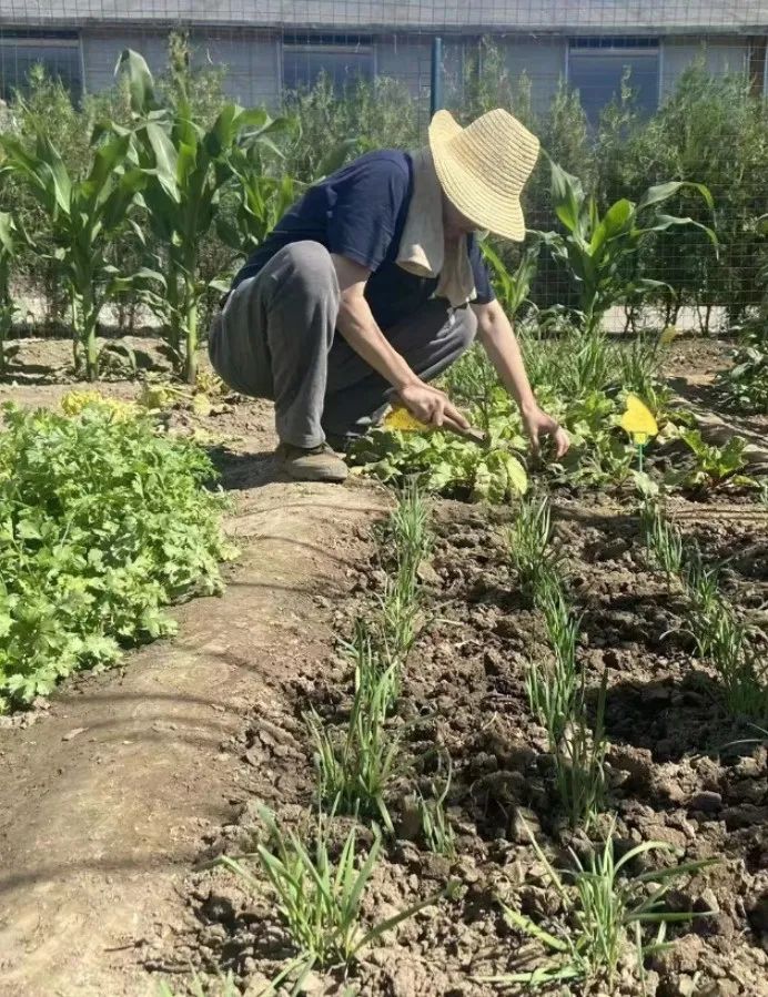 做一个“都市农夫”