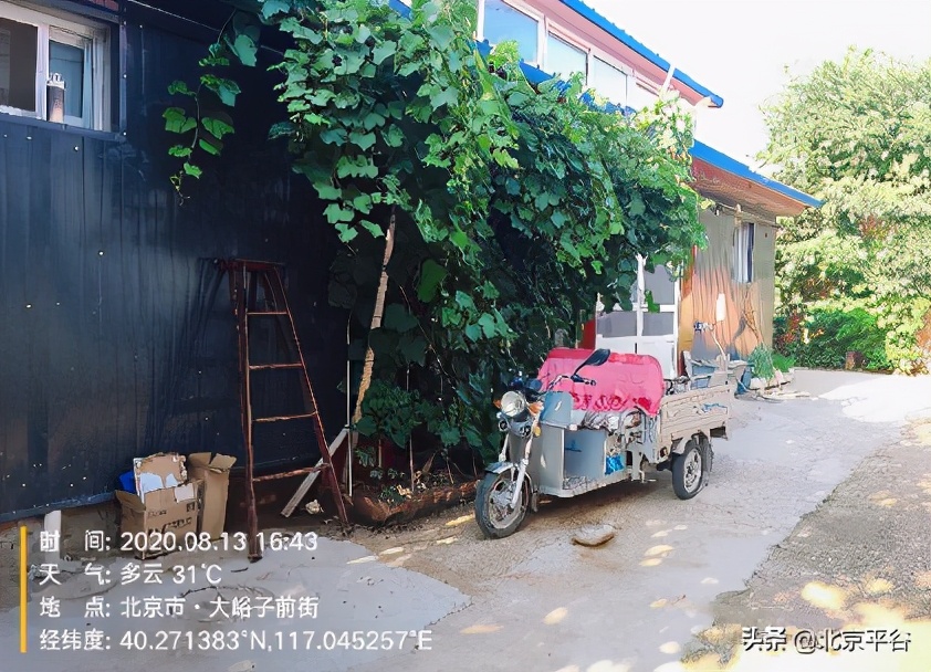 平谷大华山镇：强化“双基”建设 探索基层治理积分制管理模式