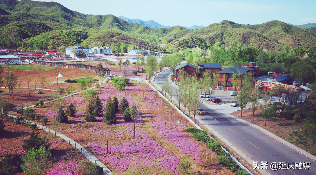 世园会两周年丨延庆区紧抓绿色发展机遇 助推园艺产业发展新动能