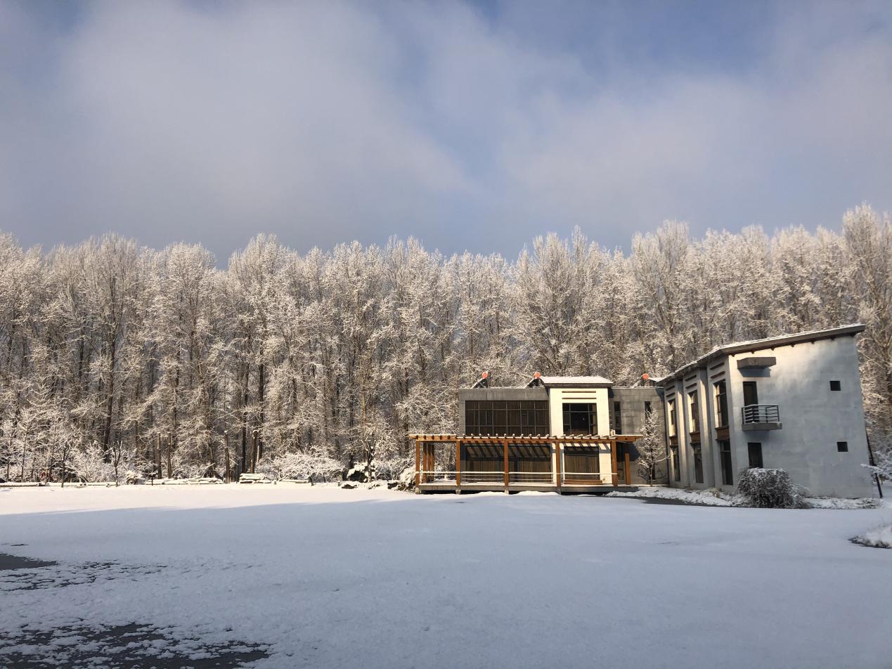 大雪过后，太师屯镇风景美如画