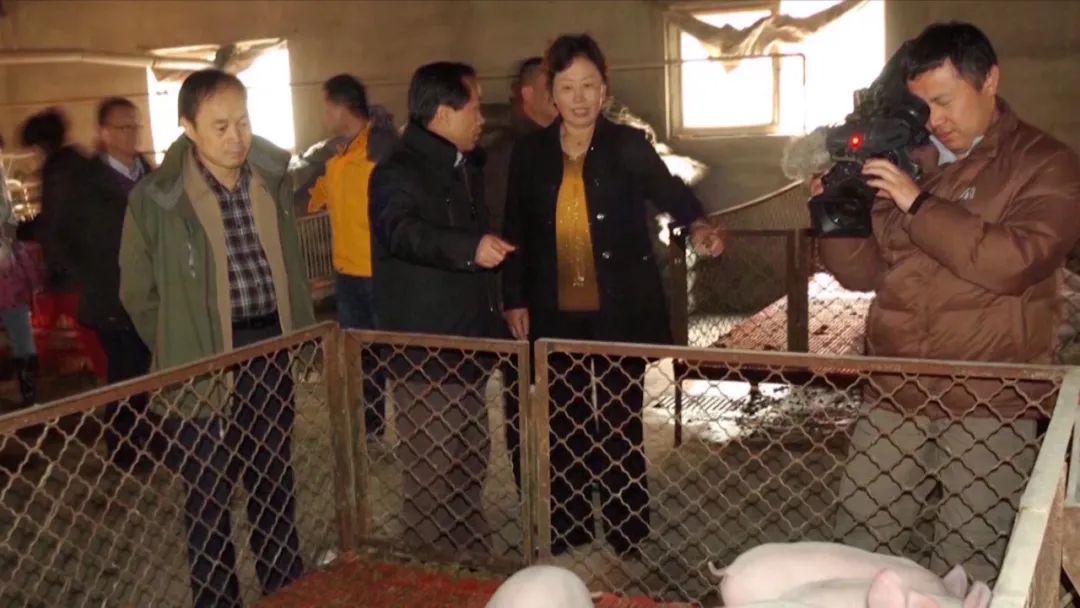 在外打拼24年，她做了一个大胆的决定……