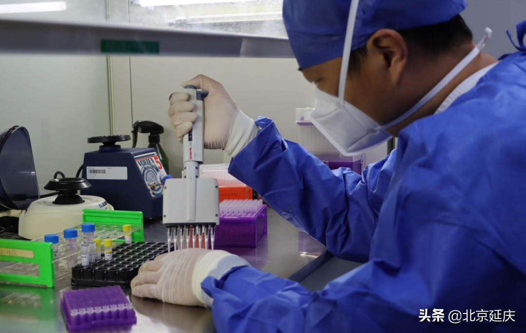 这个假期，延庆的他们坚守“如一”