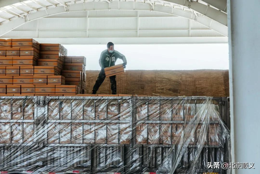 顺鑫石门“果蔬红包”效果初显，全力保障人民群众“菜篮子”！