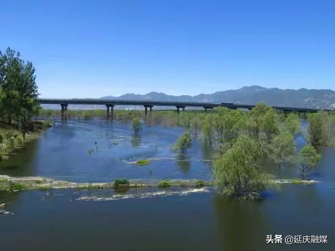 打造路景交融新画卷 延庆公路分局在行动