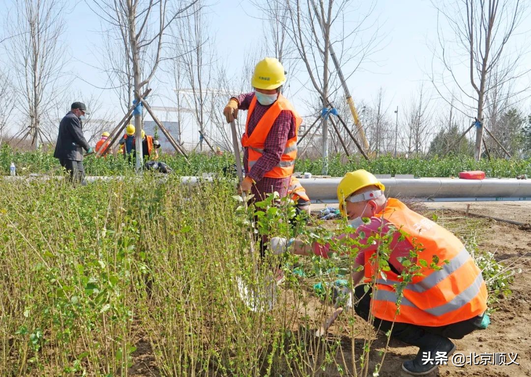 【第三次创业】抓项目促投资，10个市重点工程续建项目全面复工！