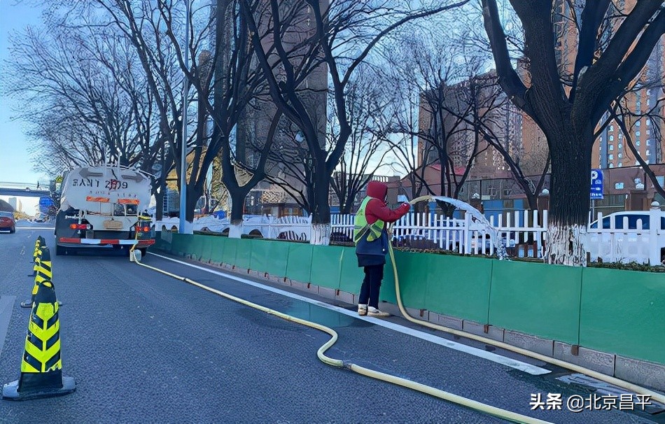 穿“靴子”裹“棉衣”！昌平冬季树木养护工作启动