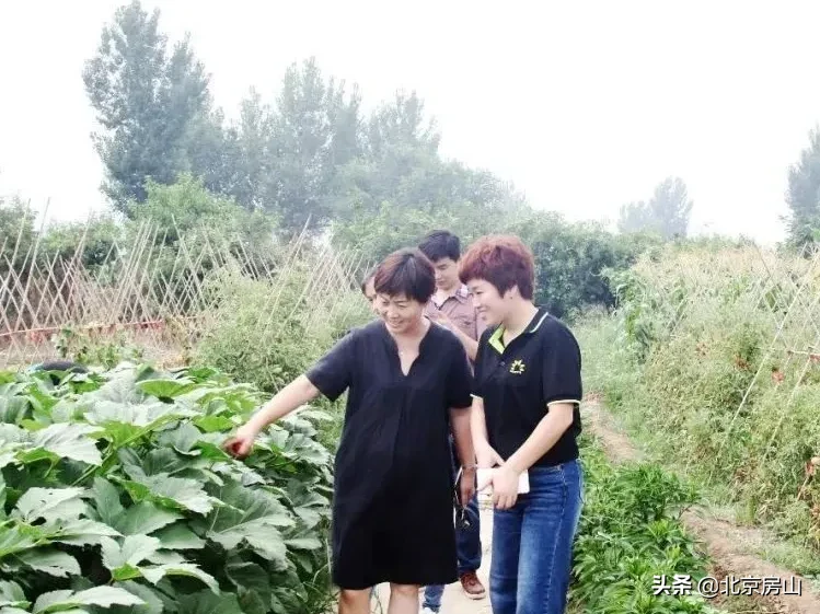 档案见证小康路，回顾房山脱低攻坚路上的光辉事迹！