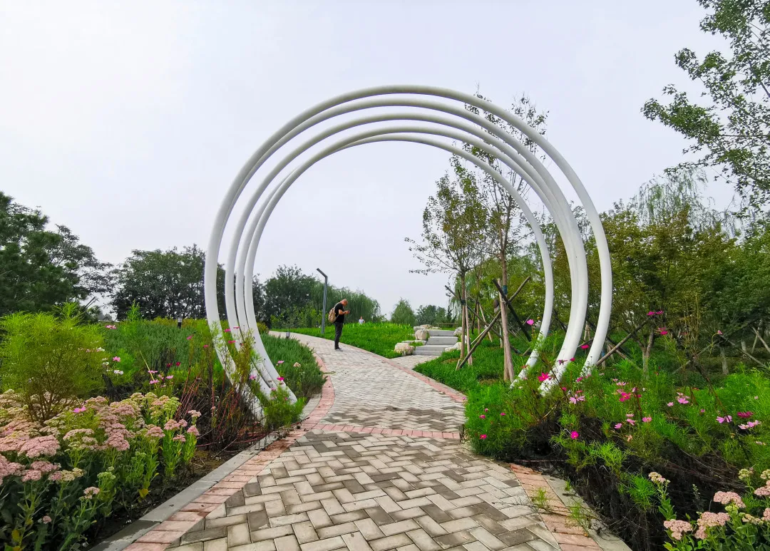 就在明天！衙门口城市森林公园正式开园！又多一个好去处~