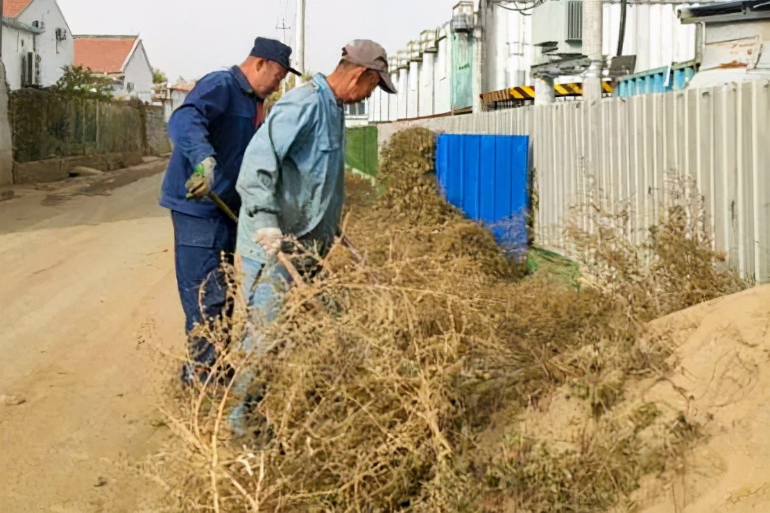 密云区巨各庄镇：防火扫除两不误 秋日最美酒乡路