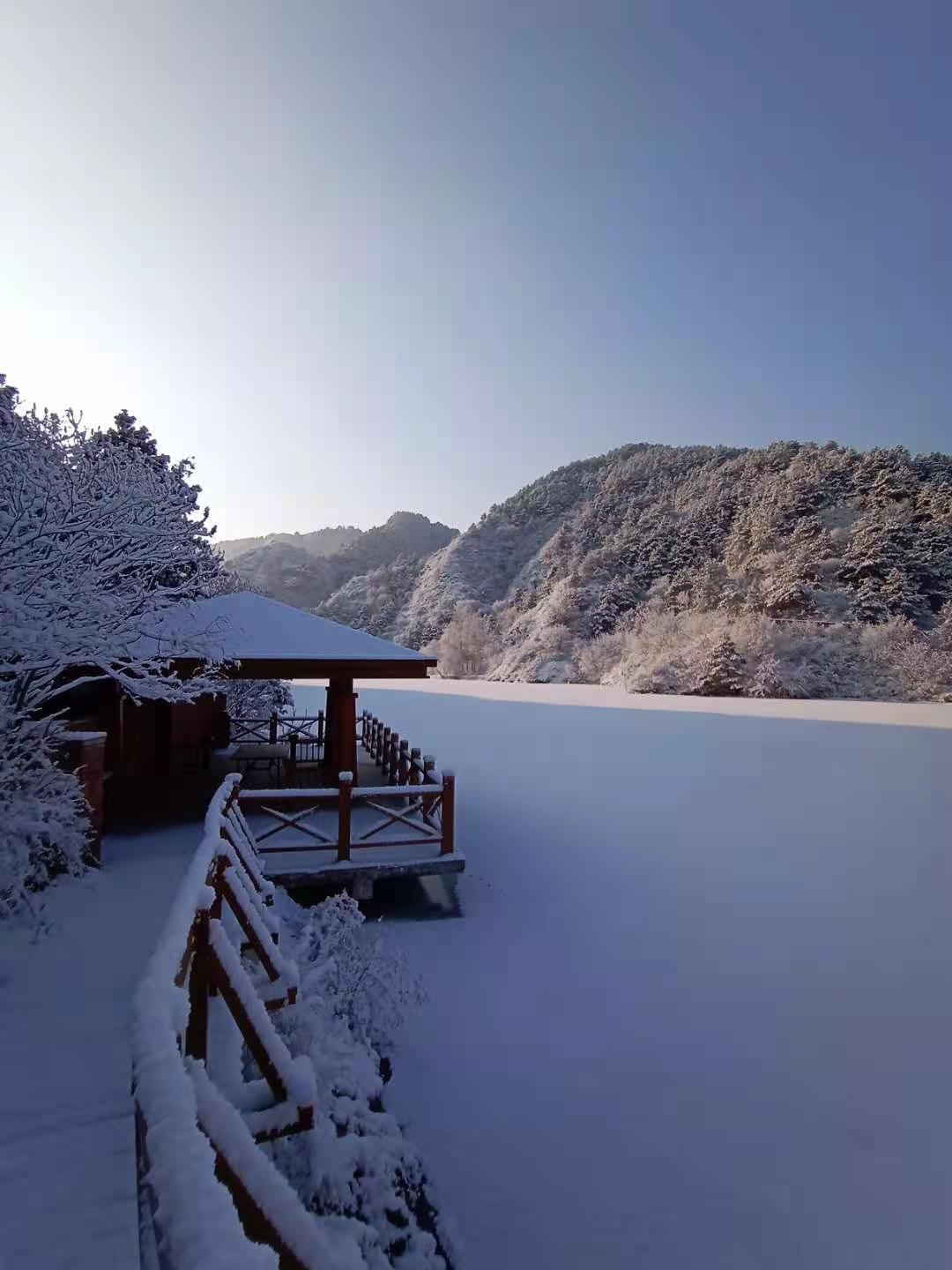 大雪过后，太师屯镇风景美如画