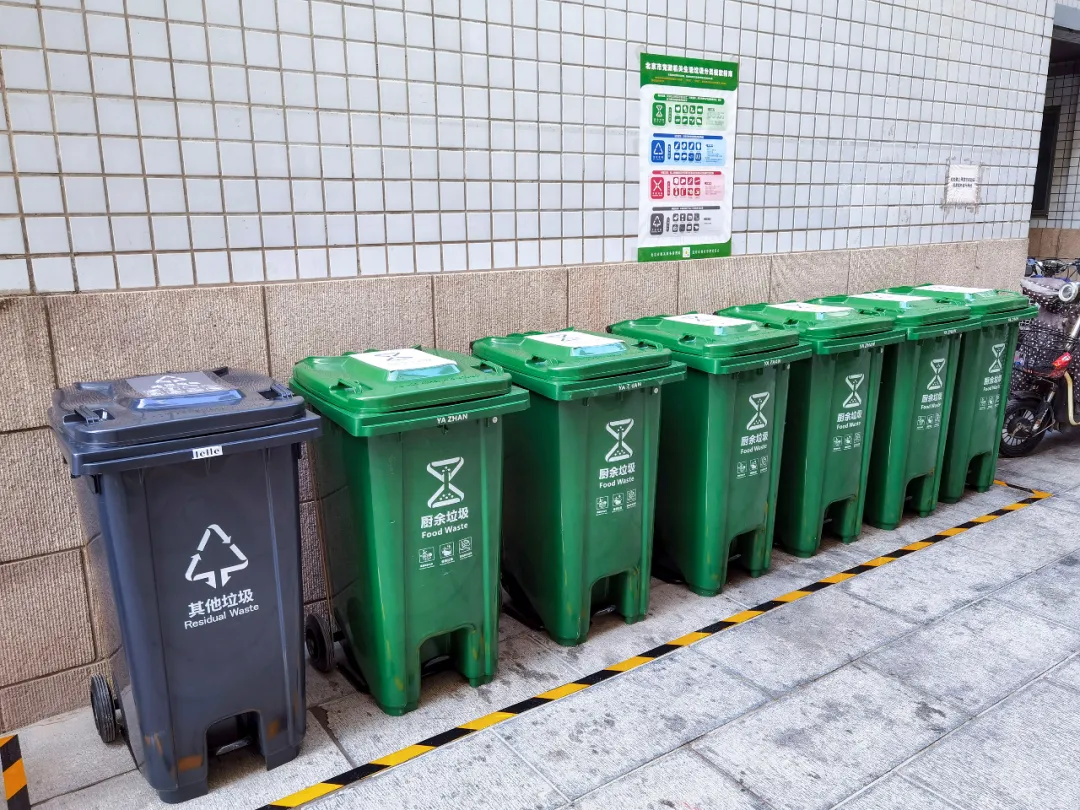 下降了40%和60%！东城区机关生活垃圾减量效果显著