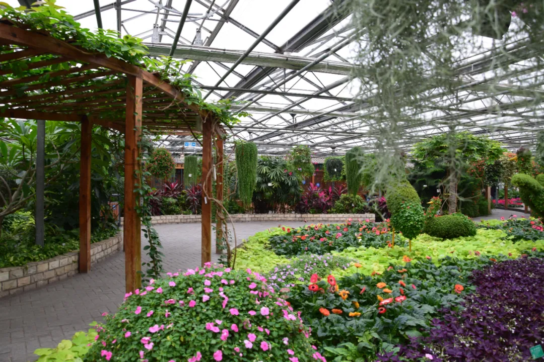 圆梦庆冬奥 正月游丰台——2022丰台正月文化旅游系列活动