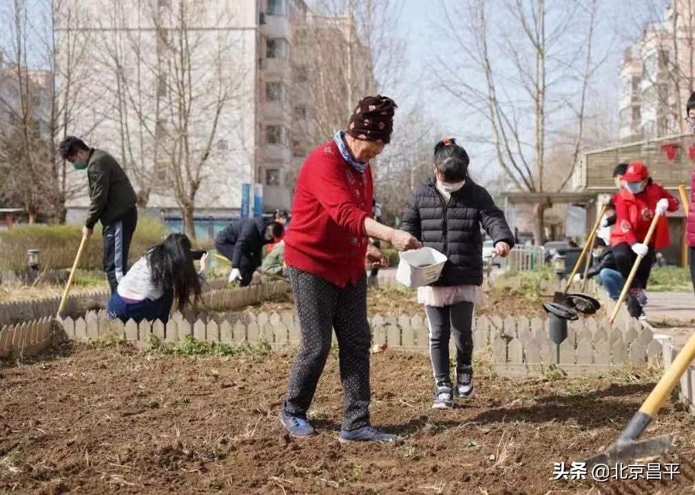 凝聚党员“双报到”力量，助力北京昌平创城工作