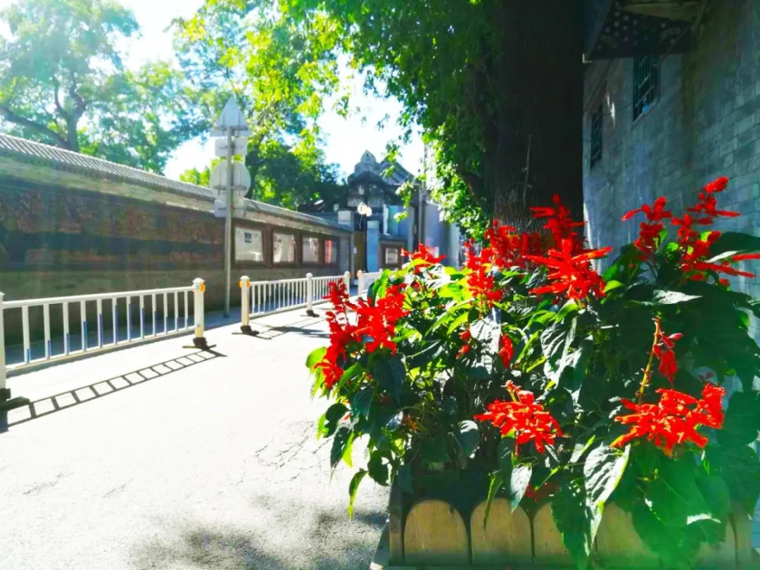 住胡同，车停进写字楼，东二环这条胡同厉害了~