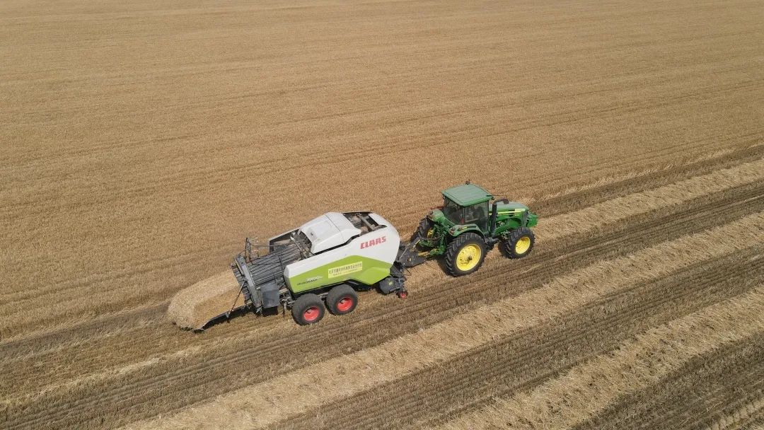 顺义区12万亩麦田即将开镰收割