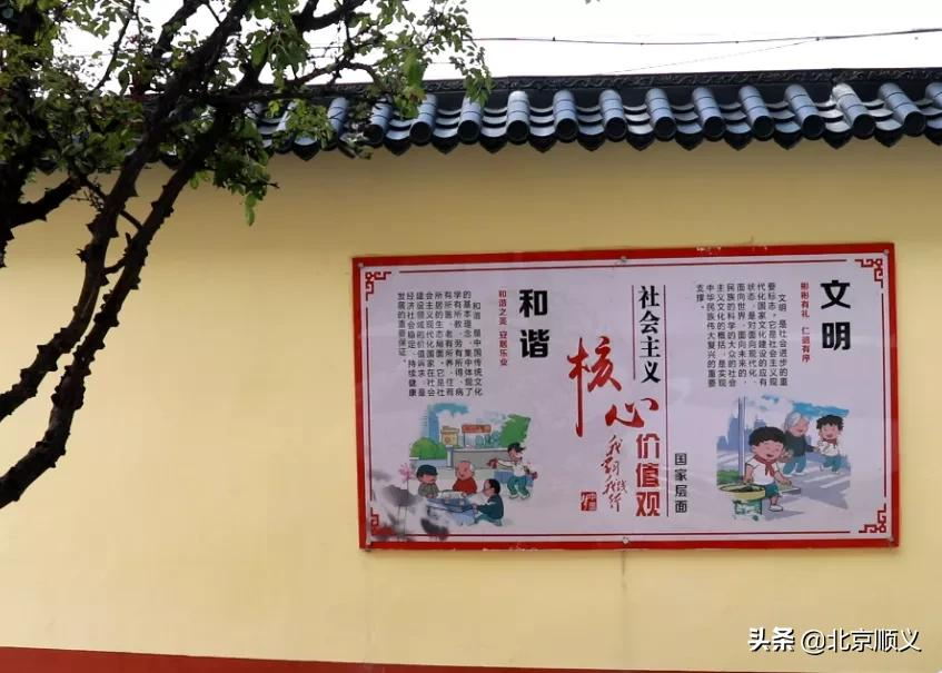 【创城有我】胜利街道太平社区不断改善居民生活环境，提升幸福指数~