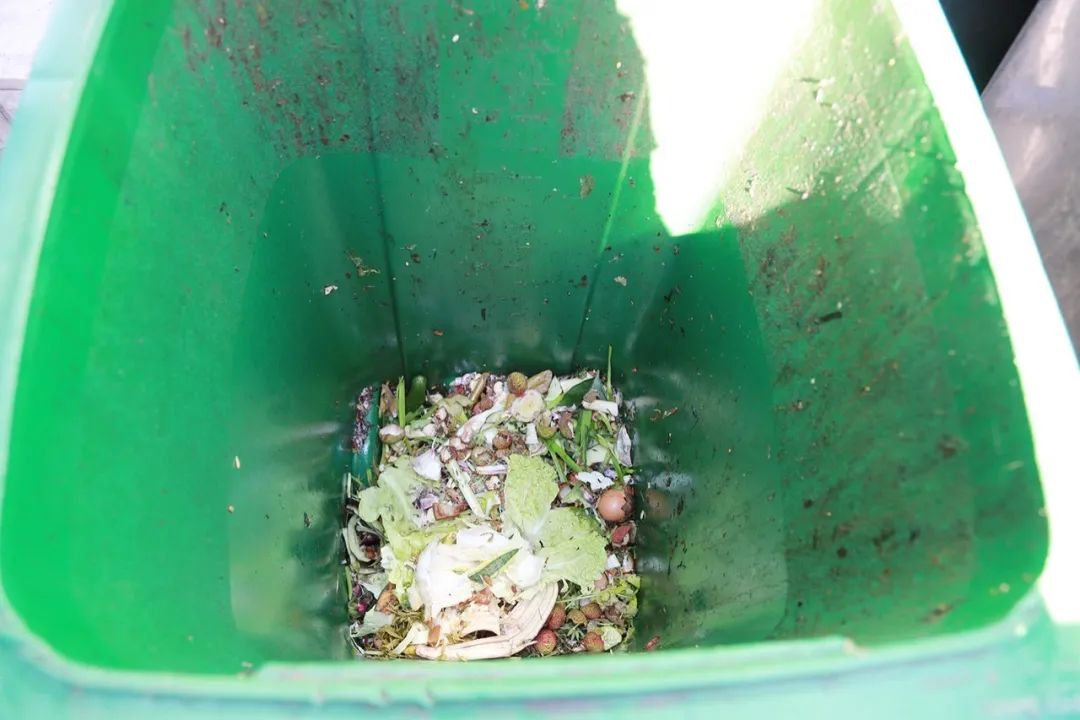 东城社工：垃圾分类“急先锋”