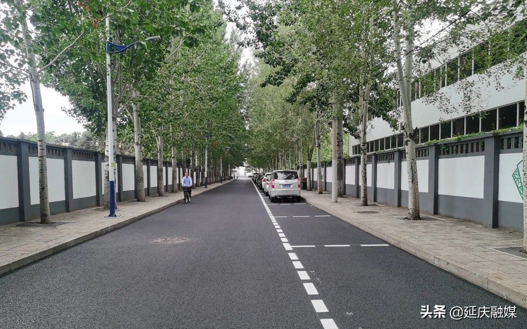 山清水秀阳光媚~延庆赛区用秀美环境面貌喜迎冬奥盛会！