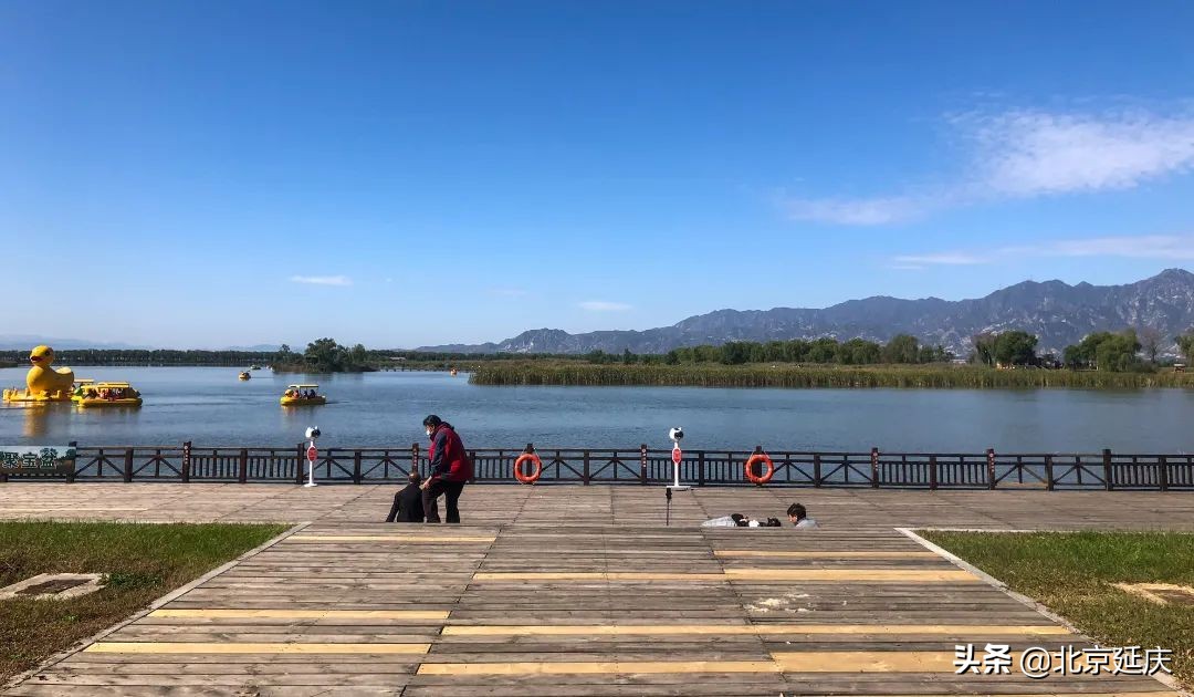 生态之美尽显眼前 国庆假期延庆野鸭湖旅游秩序井然