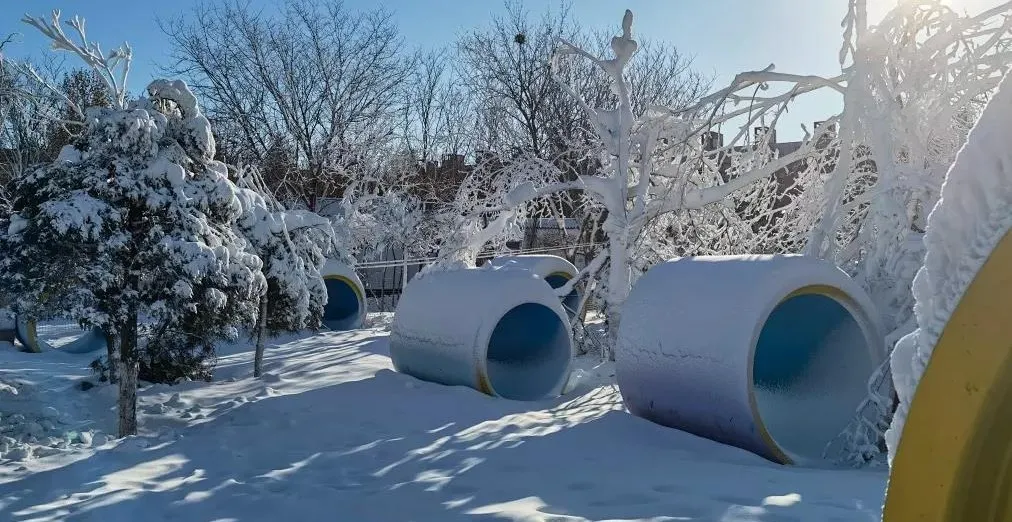 圆梦庆冬奥 正月游丰台——2022丰台正月文化旅游系列活动