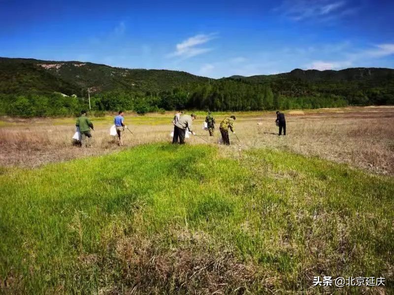 多措并举全面提升白河堡水库水质 延庆区为冬奥会提供坚实用水保障