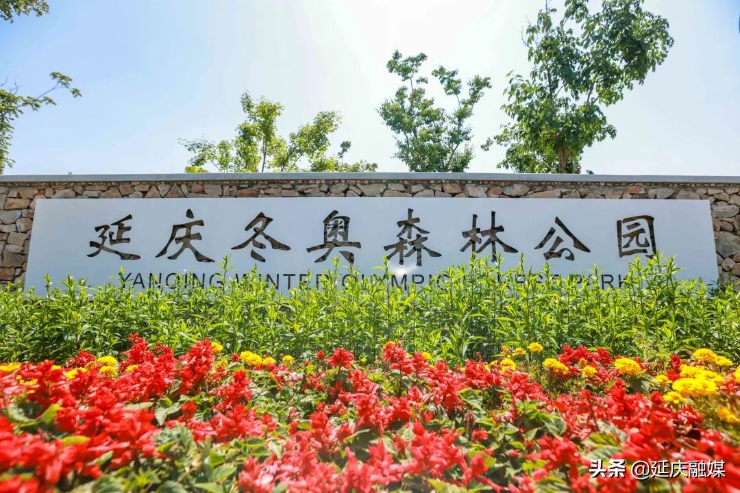 全力呈现壮美、安全、高品质绿色的冬奥赛区延庆在行动！