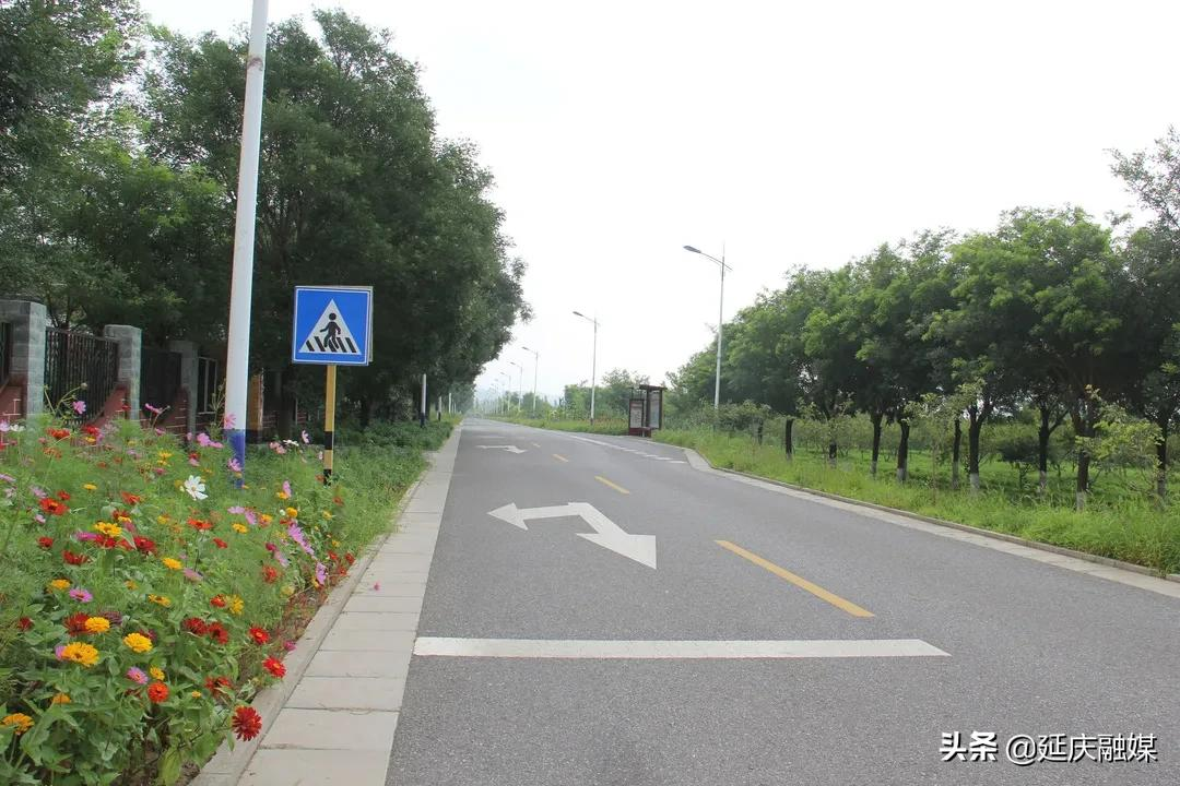 延庆区2021年乡村公路建设全面开工为乡村振兴“加速度”