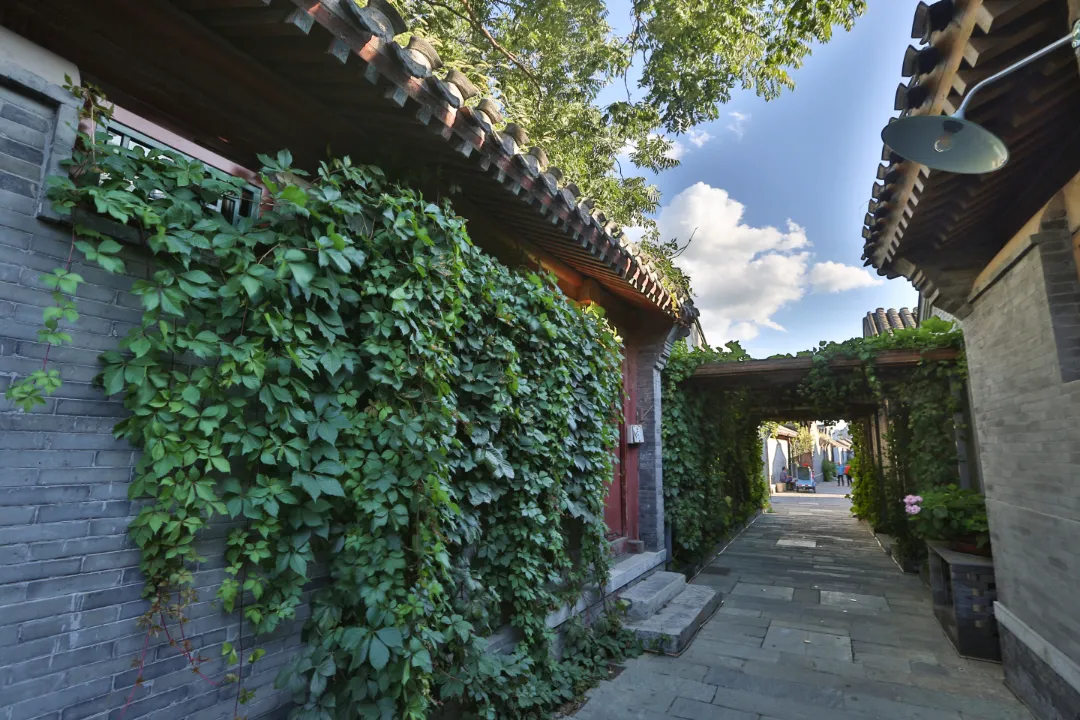 东城：书写新时代首都核心区高质量发展新答卷