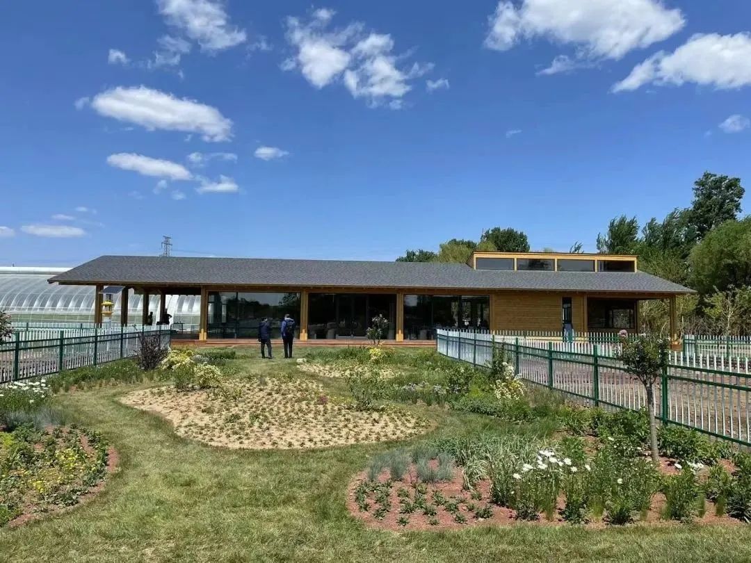 这个蔬艺园，成为推动村庄产业发展的新亮点