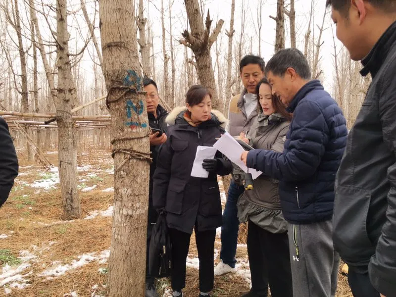 通州法院：护航北京城市副中心高质量发展