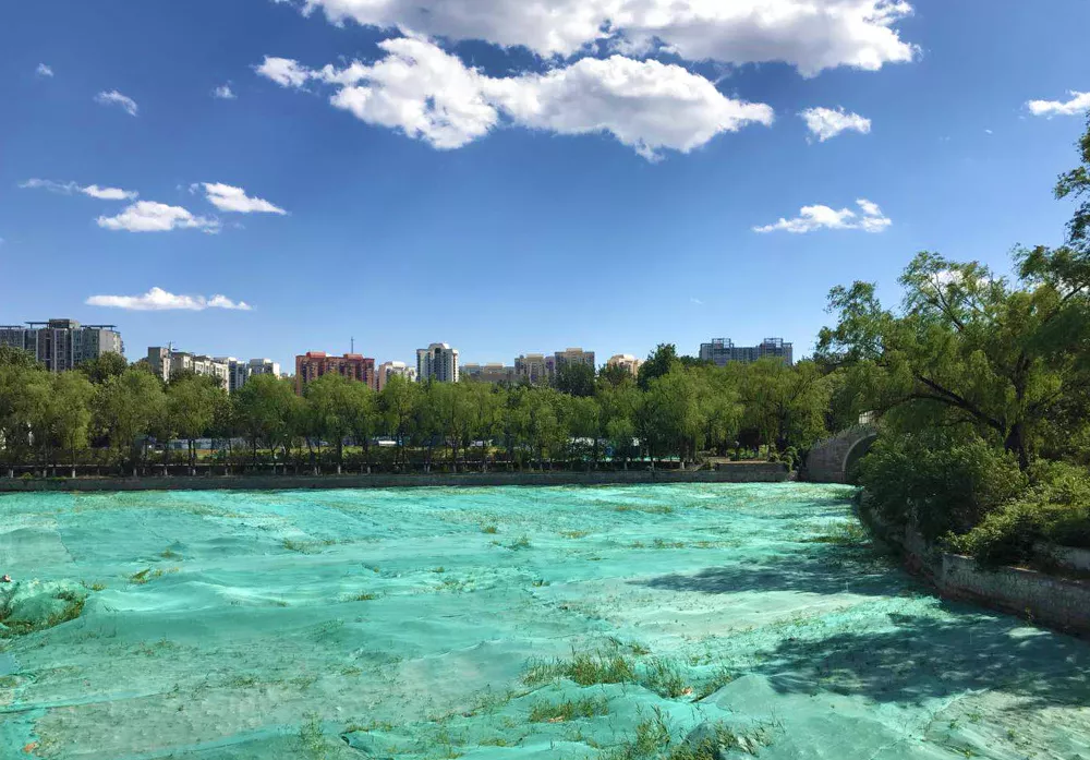 活力东城 | 复工复产复商复市，东城按下“快进键”！