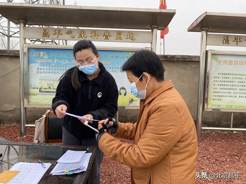 草莓套种红薯，昌平农户种出“增收果”！