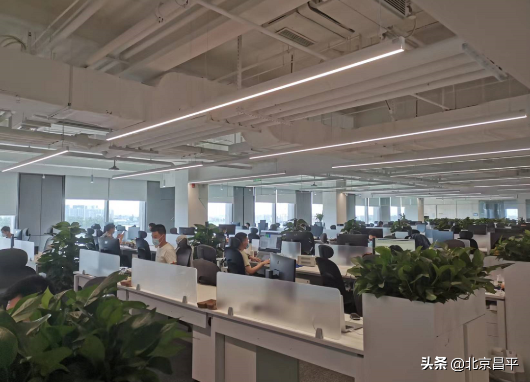 有温度、有力度！昌平稳企纾困精准发力，全力推进复工复产