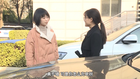 弘扬社会主义核心价值观 · 法治丨该装就装 见“桩”回避可不行